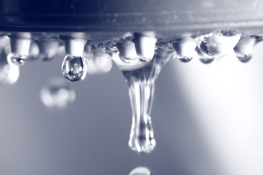 Plants to drain excess fluid
